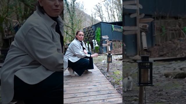 Милашество в глэмпинге и спа "ЛЕС", город Сочи  #глэмпинг #glamping #отельныйбизнес