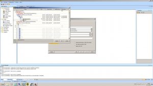 Novell Open Enterprise Server OES Backup & Restore (Lang_EN) | SEP sesam Tutorial