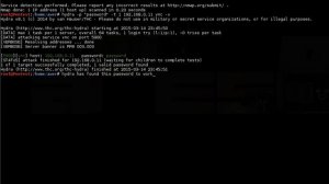 Exploiting VNC with Hydra & Metasploit