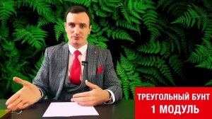 Треугольный бунт 1/2: Маркетинг план и деньги в сетевой компании