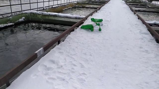 Рабочий день рыбовода. Как всегда ремонт линий. смотреть онлайн