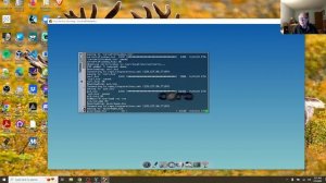 Tiny Core (Plus) Linux: Quick and Dirty Install (1)