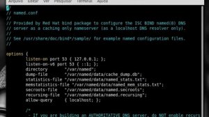 Configurando o rDNS (DNS Reverso) com o Bind