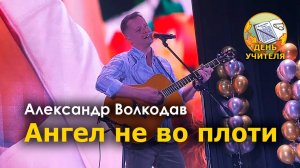 "Ангел не во плоти" Александр Волкодав - День учителя, Москва 10.10.24