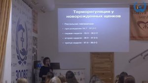 Е. А. Кадочникова в УЦ ЗООВЕТ | Беременность. Роды. Щенки. Часть 2/2