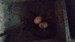 немножечко осенней хандры вам в ленту