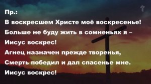 Кто подтвердит, что я прощен был || (You Have Been Raised || BV Music