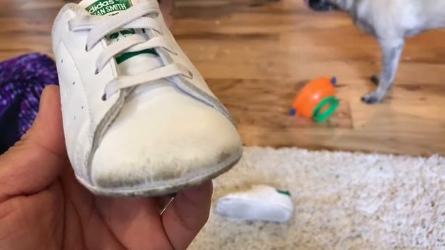 Our Favorite Sneaker So Far! Adidas Stan Smith Infant Crib Shoe Review! смотреть онлайн