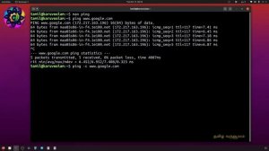 Ping Command for Troubleshooting | Networking Basics | Tamil