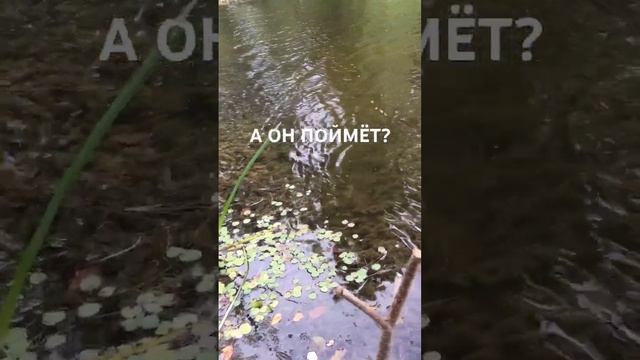 Он поймёт! Слава Богу за всё!..☀️