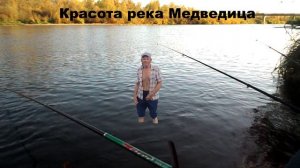 МЕДВЕДИЦА