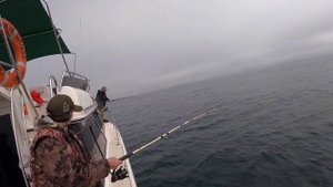 Камчатка. Бешеный клев и отличная погода, рыбалка с катера в Тихом океане.