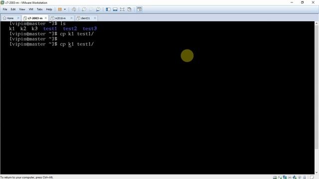 27-Copy files and directories in Linux as normal user demo | Linux Commands | Linux for Beginners