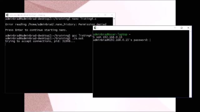 Internet Programming 101