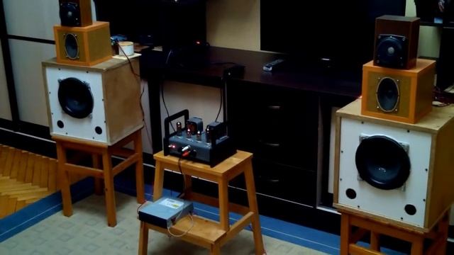 Динамики 25ГД-26Б с однотактным ламповым усилителем.