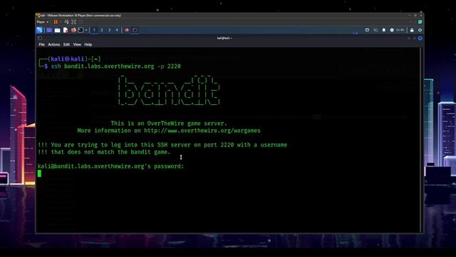 Learn How To Hack With Linux CTFs