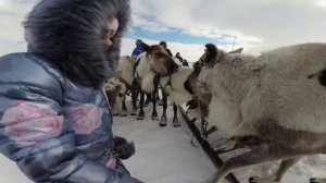 ДОЧА НА ГОНКАХ