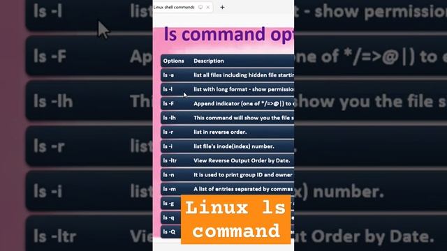 Linux ls command options