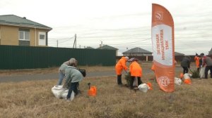 Синарские трубники озеленили улицу имени Анатолия Брижана. Панорама 11 октября 2024