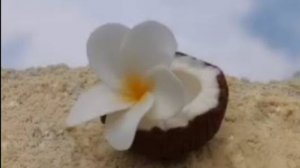 МК🌸КОКОС и ПЛЮМЕРИЯ из пластичного шоколада от Анны Калиниченко