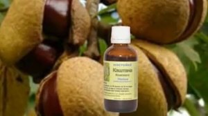 Медицина СССР