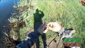 Ловля карася. Чистка места для рыбалки.