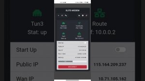 Cara import config V2ray di Xlite Modem Huawei B618/B715/B525
