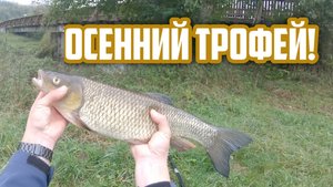 Как и где поймать Голавля и на что? Ловля Голавля осенью на спиннинг!