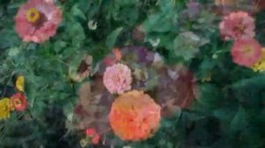 Relaxation.#релаксация