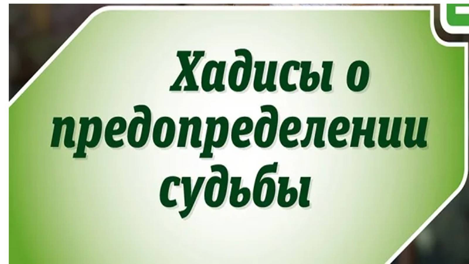 хадисы предопределения