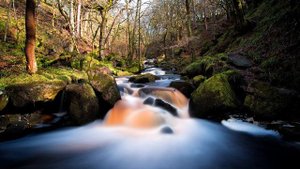 Практика медитации. Вводная часть