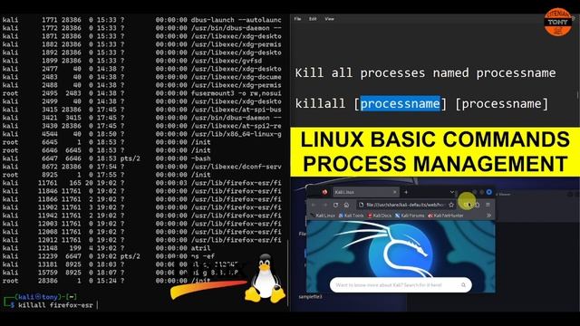 Linux Basic Commands - Process Management