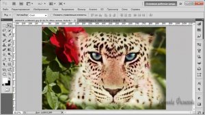 Лассо в Photoshop