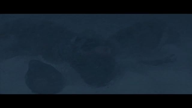 Крейвен - Охотник - трейлер на русском (2024) смотреть онлайн