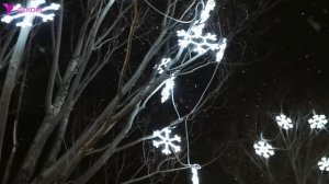 Новогоднее оформление в г. Нижний Новгород