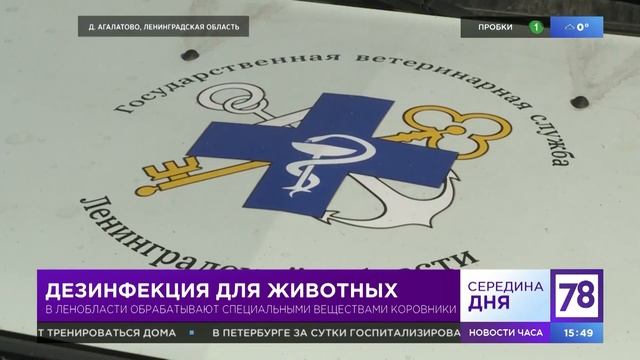Дезинфекция для животных