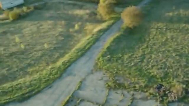 Х 14 смотреть онлайн