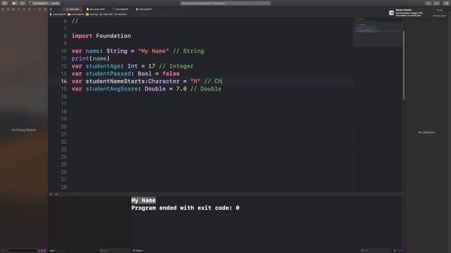 iOS App Development Course | Introduction to Swift Type Annotations | 4K
