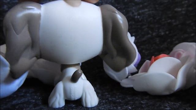 LPS UNBOXING #34: ~Самые редкие котята | Посылка из Рашки~ смотреть онлайн