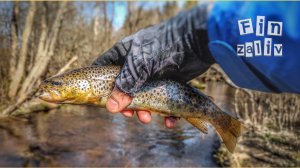 Ловля дикой форели и хариуса на лесных реках Ленинградской области