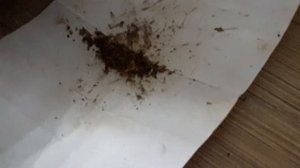 чуйская долина.2021 январь