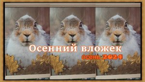 Осенний вложек