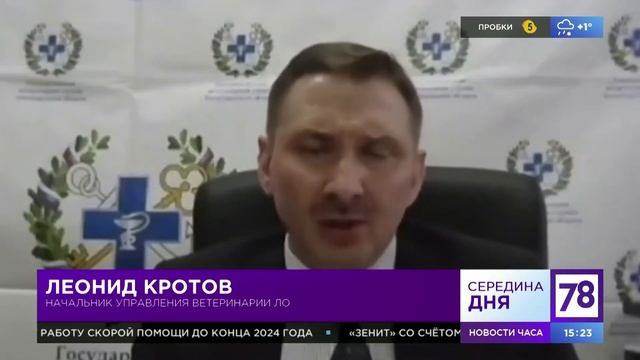 Телеканал «78», «НТВ Петербург» - Братья наши меньшие.