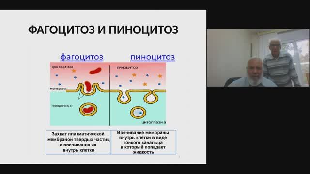 Неспецифический иммунитет (БИК 18)