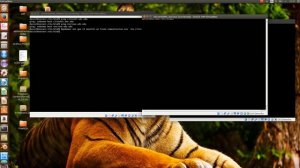 DDNS en Ubuntu Server