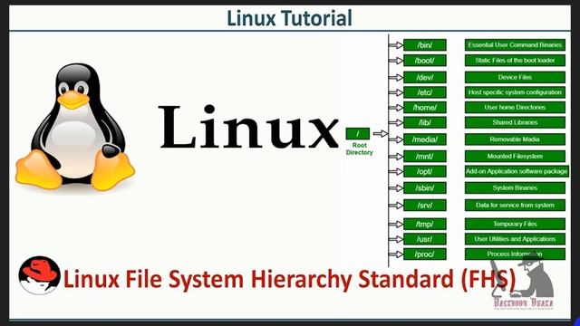 Learning the Linux File System Explained Linux Directory Structure RHEL 7 | Part-02