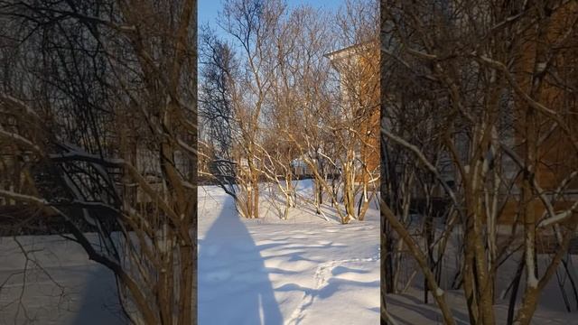 Петропавловская крепость.