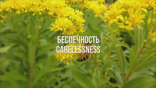 Беспечность