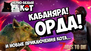 Кабаняра и орда или новые приключения Кота! :)