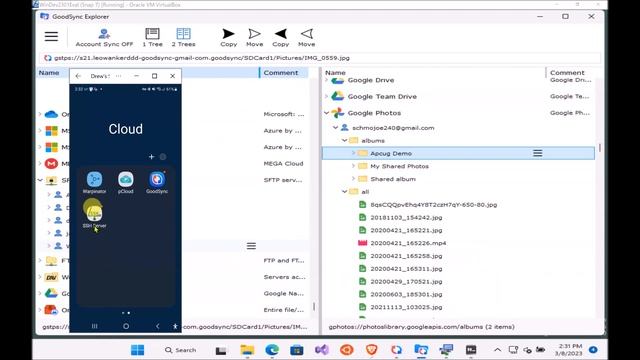 Introduction to GoodSync Backup & File Sync Software, Drew King-APCUG WedWorkshop 3-8-23 смотреть онлайн